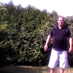 denis6174, 60 ans,  (Canada)