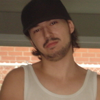 stevedipset